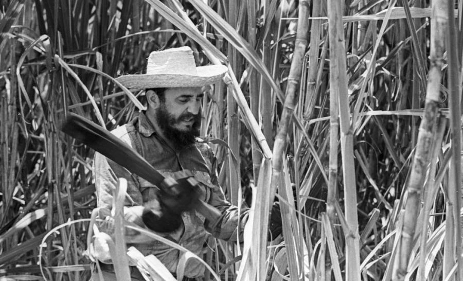 Nhớ lần chặt mía cùng lãnh tụ Fidel Castro