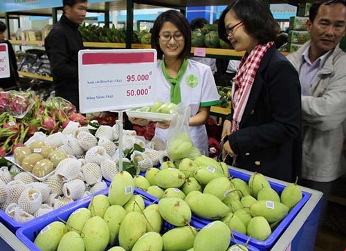 Tranh nhau mua cá, tôm... với thương lái Trung Quốc - 1