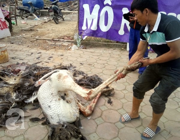 kinh doanh vỉa hè