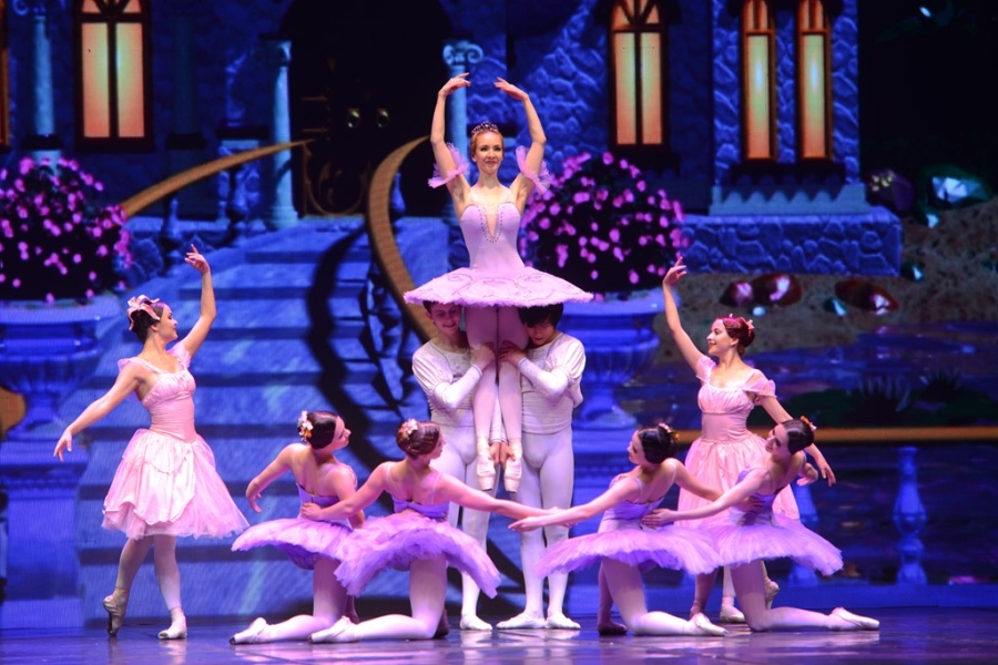Vo ballet 'Kep hat de' gay an tuong tai Ha Noi hinh anh 14