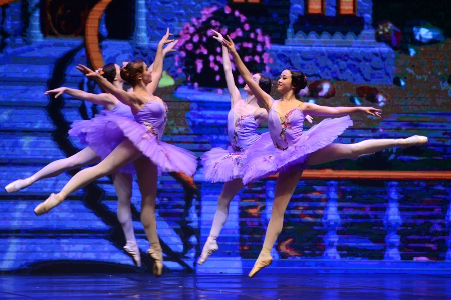 Vo ballet 'Kep hat de' gay an tuong tai Ha Noi hinh anh 16