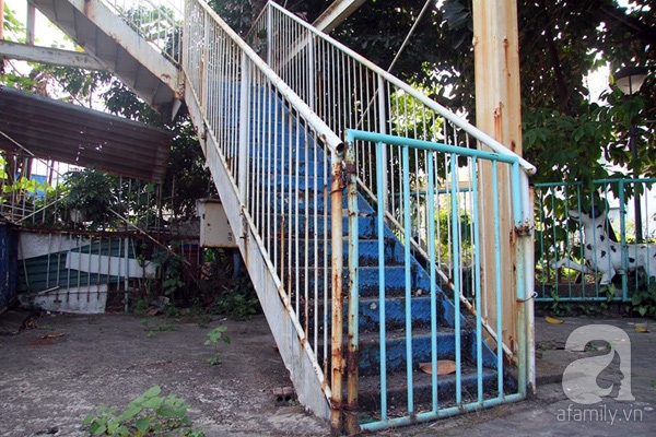 công viên tuổi trẻ