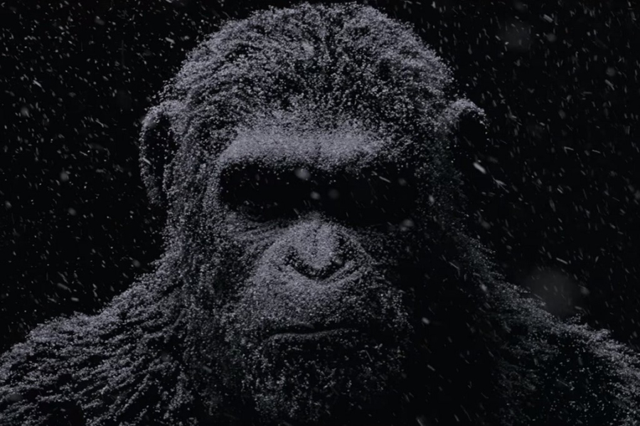 20 phim bom tan dang cho doi nhat nam 2017 hinh anh 15