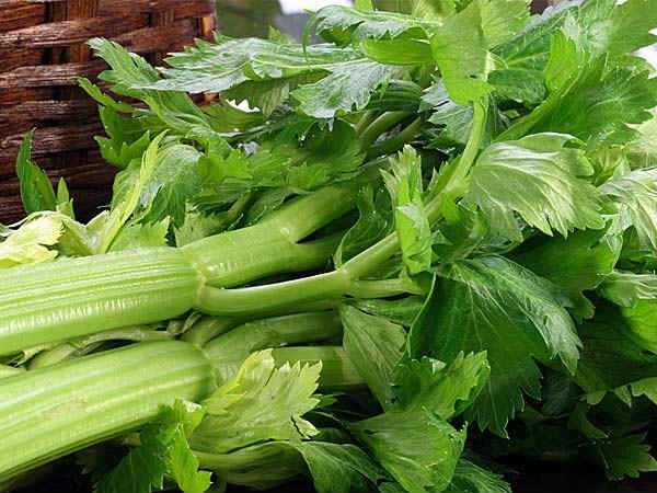 6 thuc pham kich thich ham muon 'yeu' cho nu gioi hinh anh 6