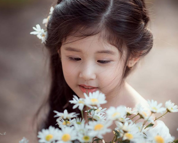 be gai 4 tuoi chup anh voi cuc hoa mi gay sot vi qua giong luu diec phi hinh anh 1