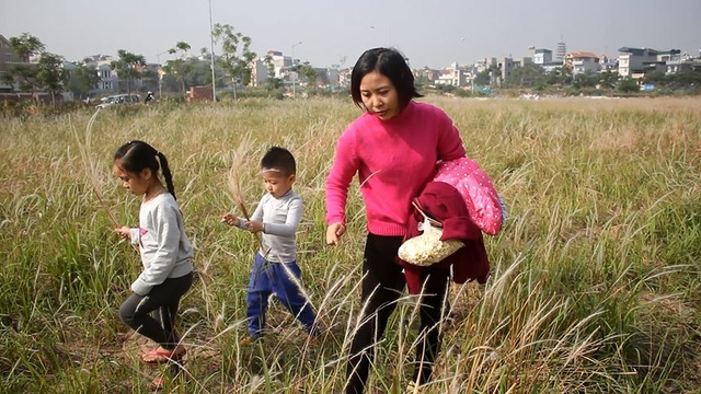  Các cháu nhỏ cũng tỏ ra thích thú khi được theo bố mẹ đến vườn lau. 