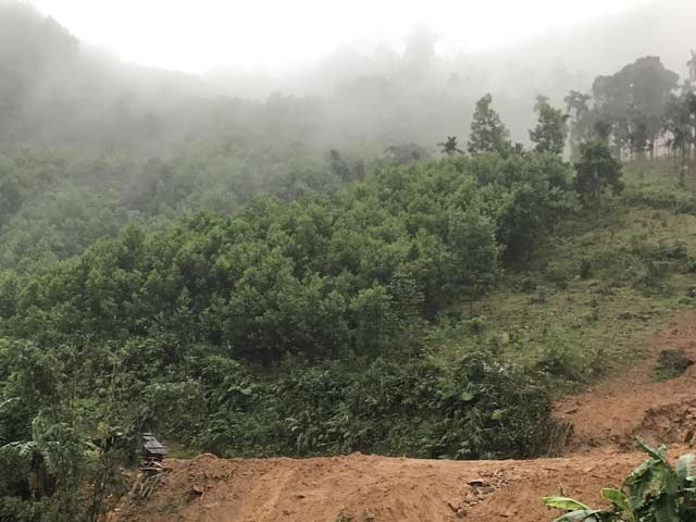 gap nguoi chay thoat ngoan muc trong vu lo nui vui nha o quang ngai hinh anh 2