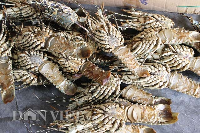 vo tom hum bong dat khach: mua gia 2.000 dong, ban ra gap 50 lan hinh anh 3