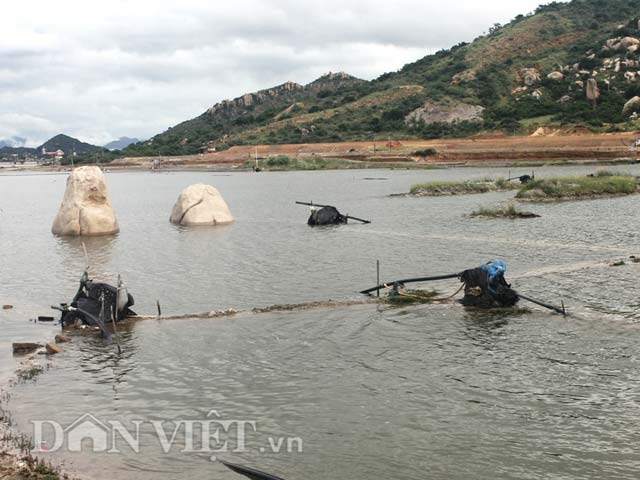 ruong muoi bo hoang vi ngap nuoc mua, diem dan ninh thuan “mat tet” hinh anh 1