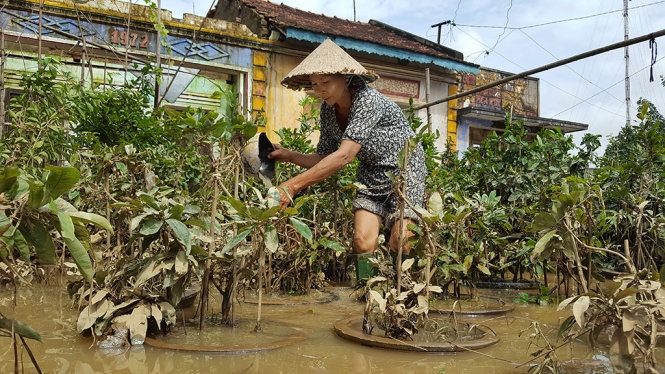 Lũ chồng lũ, dân miền Trung mất tết 