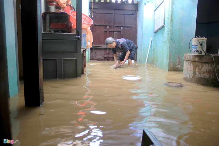 Nguoi Hoi An tat bat don rac sau lu lut hinh anh 4