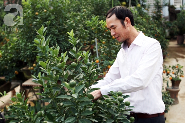Quất bonsai bé tí giá hàng chục triệu, người Hà Nội vẫn tranh thủ đặt cọc trước để chơi Tết Đinh Dậu - Ảnh 3. Quất bonsai bé tí giá hàng chục triệu, người Hà Nội vẫn tranh thủ đặt cọc trước để chơi Tết Đinh Dậu - Ảnh 3.