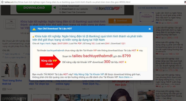 Sinh viên bức xúc vì khóa luận của mình bị rao bán rẻ như cho trên mạng - Ảnh 3.