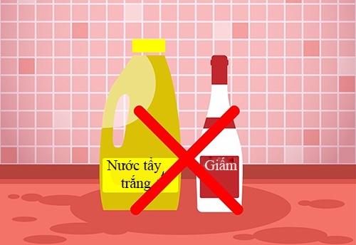 7-cap-chat-ty-rua-trong-nha-se-nguy-hiem-khi-tron-voi-nhau-2