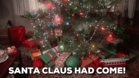 Hé lộ sự thật ít người biết về cây thông Noel đang xuất hiện ở khắp nơi trên thế giới - Ảnh 5.