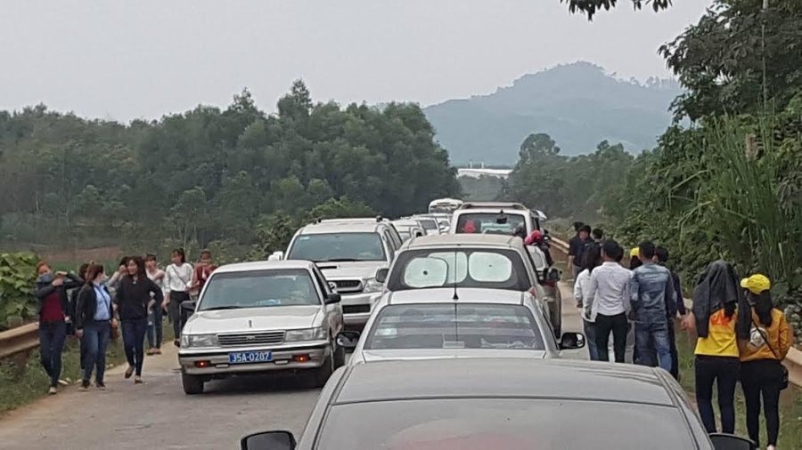 nghe an: te liet moi nga duong dan vao canh dong hoa huong duong hinh anh 1