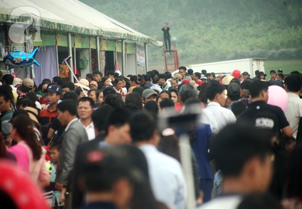 Cảnh người chen nhau, rồi chen cả... hoa hướng dương để chụp ảnh - Ảnh 8.