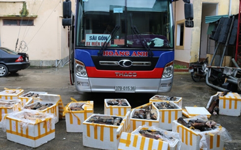 xe khach cho hon 1 tan chan va duoi trau bo boc mui hoi thoi hinh 1
