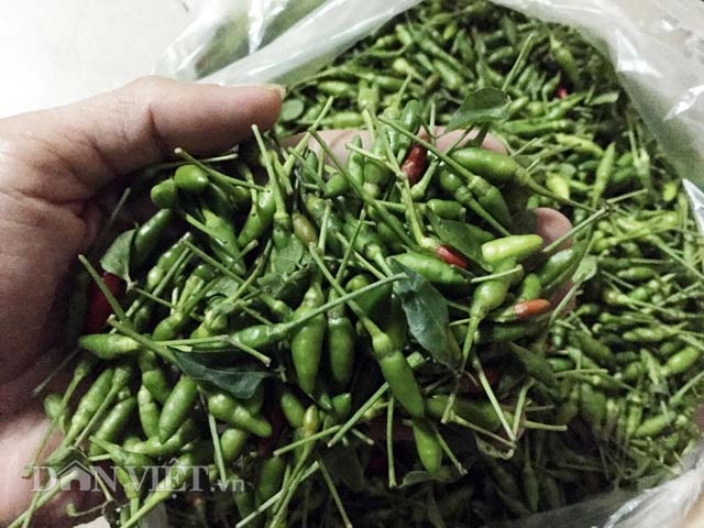 400.000 dong/kg, ot xiem rung ti hon kho mua hon ca vang hinh anh 1