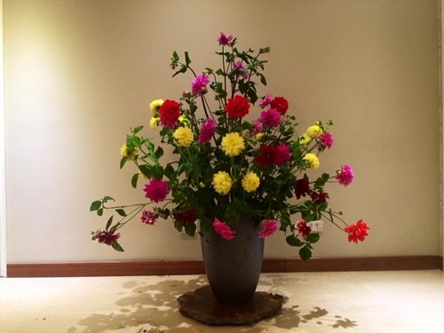 nam 2017, dat do vat gi o cac huong cua nha de hoa giai van xui, don tai loc? - 2