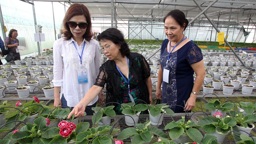 TP.HCM công bố 10 sự kiện nổi bật năm 2016 
