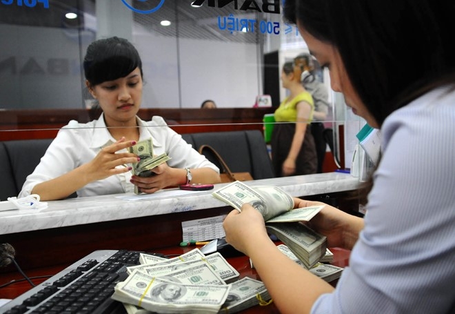 To 2 USD in hinh ga gia ca trieu dong van khan hiem hinh anh 1
