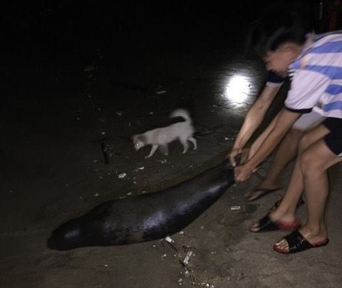 Hai cau len bo dua voi dan Binh Thuan bi danh chet hinh anh 2