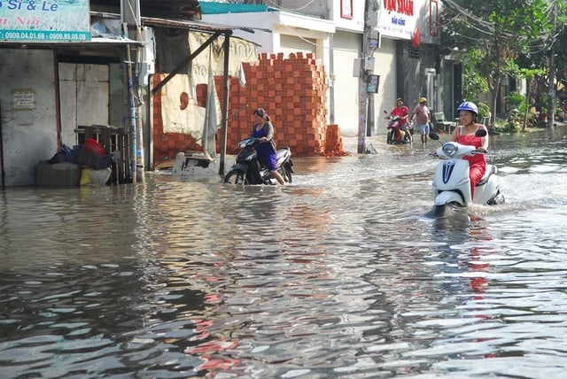 ngập lụt ở TPHCM
