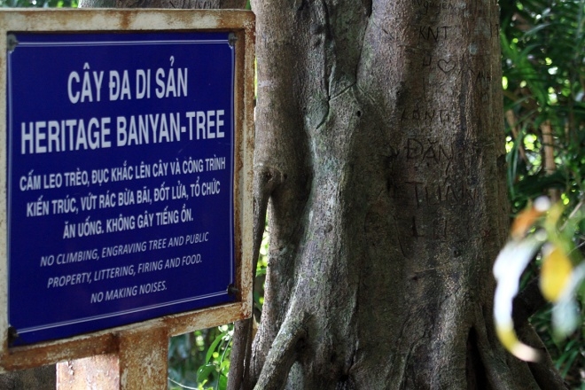 Những di sản bị phá hoại dưới tay du khách ở Việt Nam