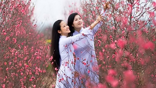 Tết Nguyên đán miền Bắc sẽ ấm