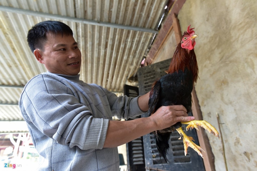 'Vuong quoc' ga 9 cua o huyen ngheo nhat nuoc hinh anh 7