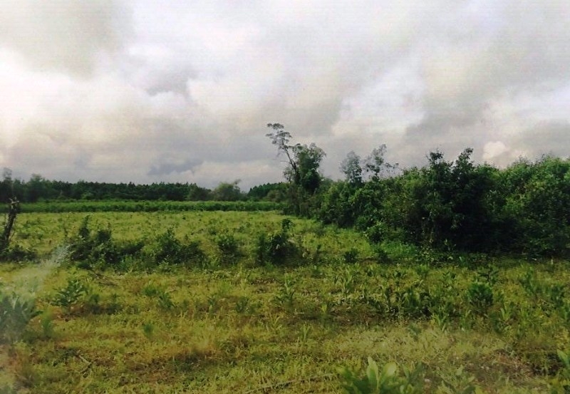 giet ban nghien cuop xe lay tien ve que tham nguoi yeu hinh anh 2