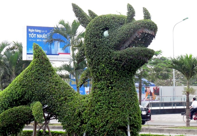 Can canh mo hinh rong gay tranh cai o Hai Phong hinh anh 5