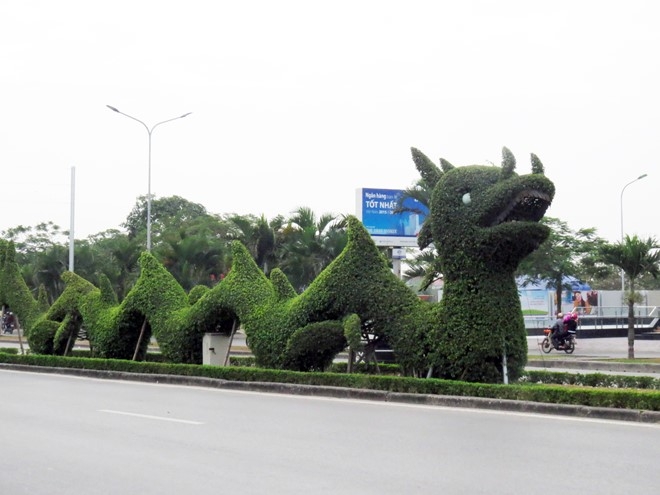 Can canh mo hinh rong gay tranh cai o Hai Phong hinh anh 6