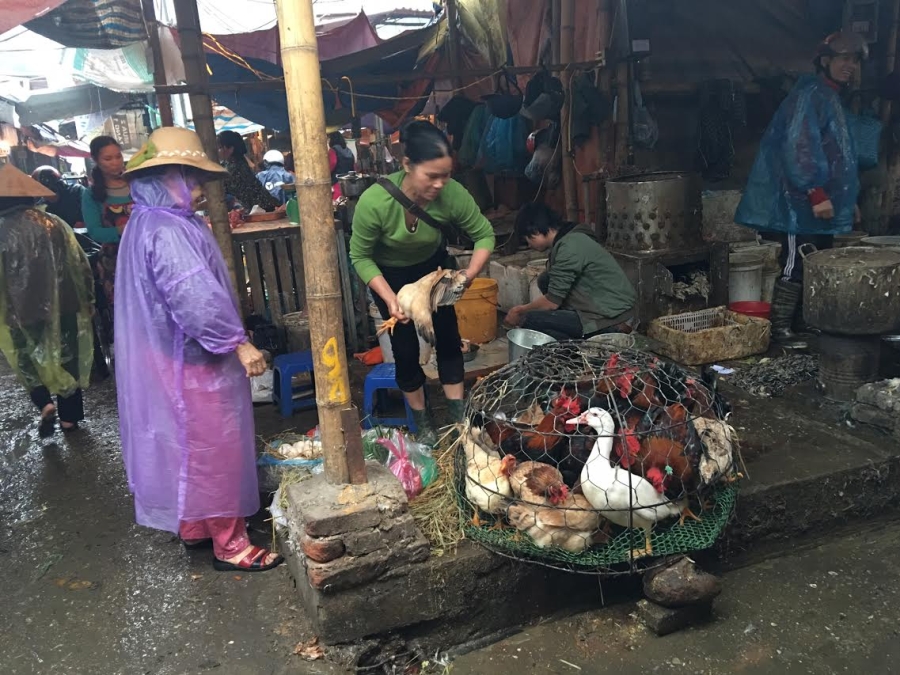Cảnh giết mổ gà tại chợ: Bà nội trợ hãy 1 lần nhìn lại