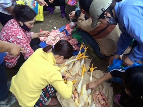 Cảnh giết mổ gà tại chợ: Bà nội trợ hãy 1 lần nhìn lại
