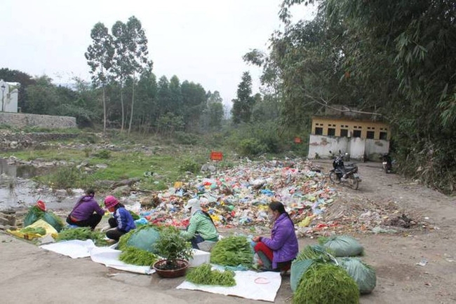 Chủ tịch thị trấn Tam Đảo: “Nửa đêm, người dân vẫn gọi báo chúng tôi phượt thủ nẹt pô ầm ĩ và trộm su su - Ảnh 3.
