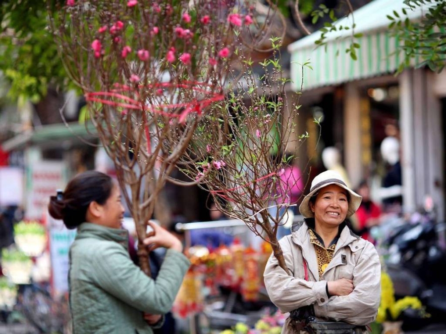 Hình ảnh có liên quan
