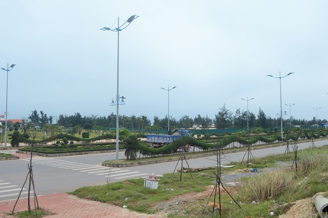 Dan mang lai soi suc voi 'rong Pikachu' o Quang Binh hinh anh 1