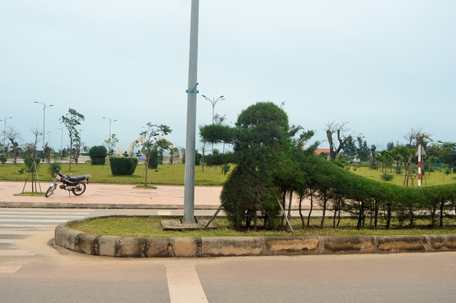 Dan mang lai soi suc voi 'rong Pikachu' o Quang Binh hinh anh 2