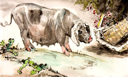 van-menh-nguoi-tuoi-hoi-nam-2017