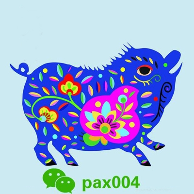 van-menh-nguoi-tuoi-hoi-nam-2017-1