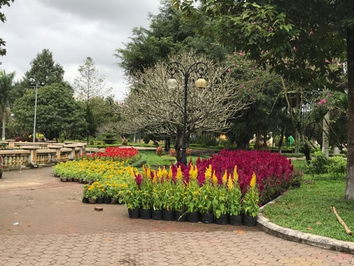 quang ngai: tinh xin gao cuu doi, tp bo tien ty trang tri don tet hinh anh 2