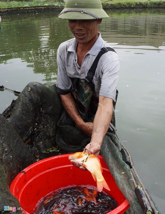 Loi bun thu hoach ca chep truoc ngay ong Tao ve troi hinh anh 2