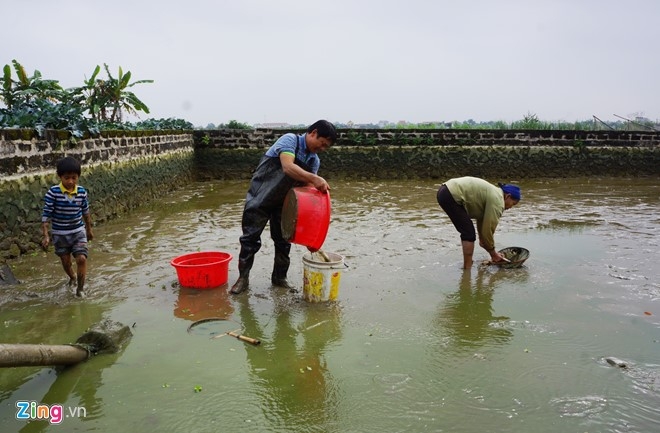 Loi bun thu hoach ca chep truoc ngay ong Tao ve troi hinh anh 3