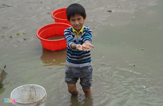 Loi bun thu hoach ca chep truoc ngay ong Tao ve troi hinh anh 4