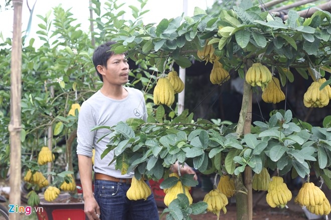 Nguoi 'khong co doi thu' o lang ty phu phat thu hinh anh 3