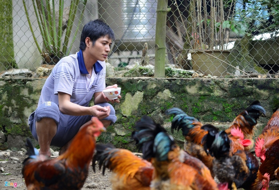 Thanh trieu phu nho ban ga trong thien dip Tet hinh anh 6
