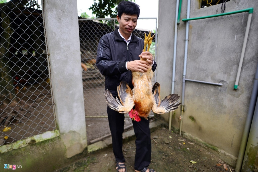 Thanh trieu phu nho ban ga trong thien dip Tet hinh anh 10