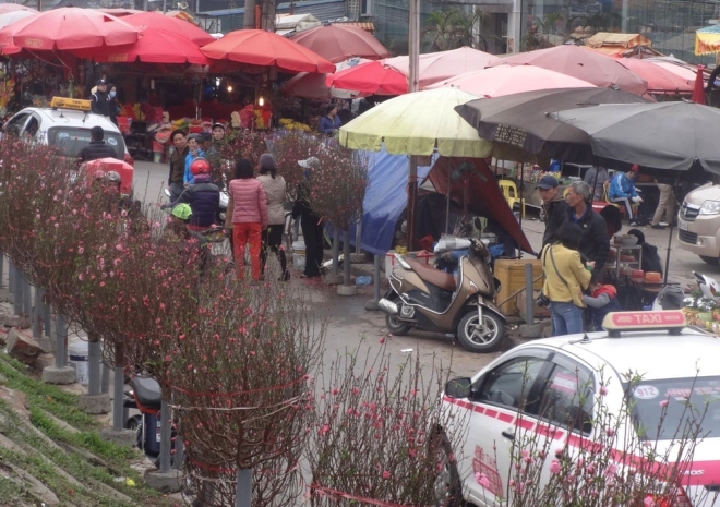 Đào khoe sắc ở chợ hoa Tết nổi tiếng nhất Hà Nội